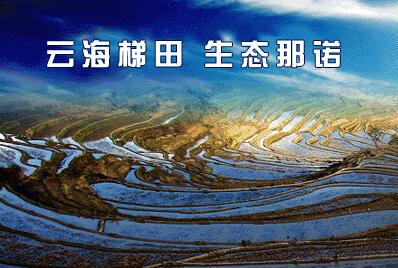QQ截图20220121101801