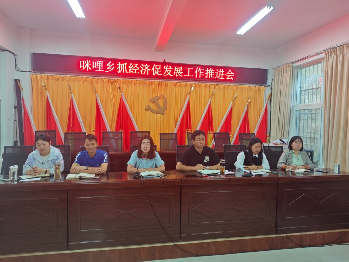 20240807咪哩乡召开抓经济促发展工作推进会 (1)