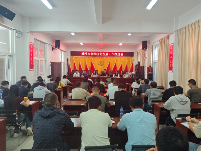 20240807咪哩乡召开抓经济促发展工作推进会 (2)