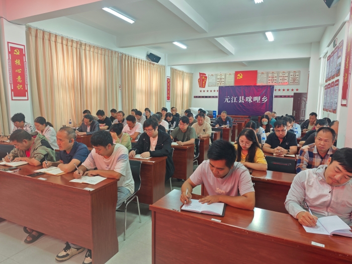 20240807咪哩乡召开抓经济促发展工作推进会 (3)