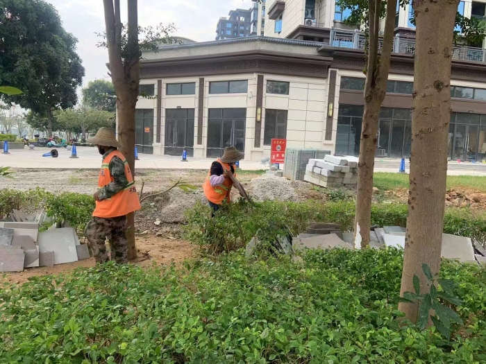 红河社区 (3)