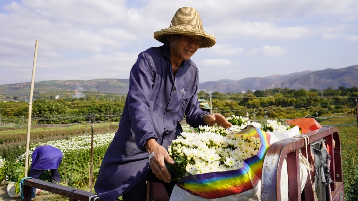 搬运鲜花 (1)