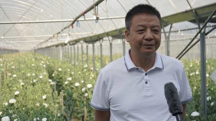 曼章那花卉基地负责人杨二平
