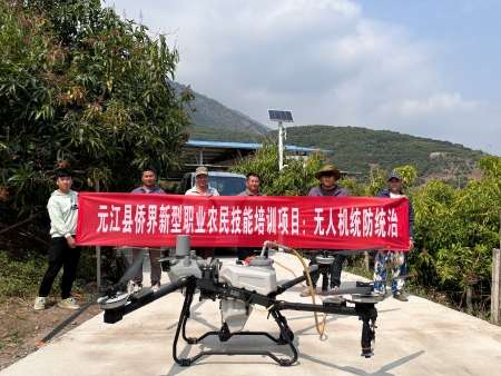 合影