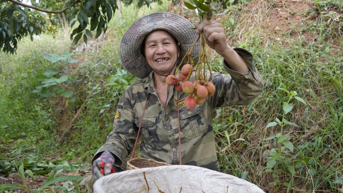 龙洞小组刀红新大哥