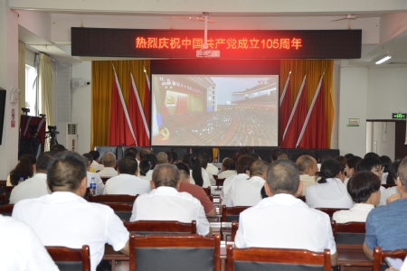 观看庆祝中国共产党成立105周年大会